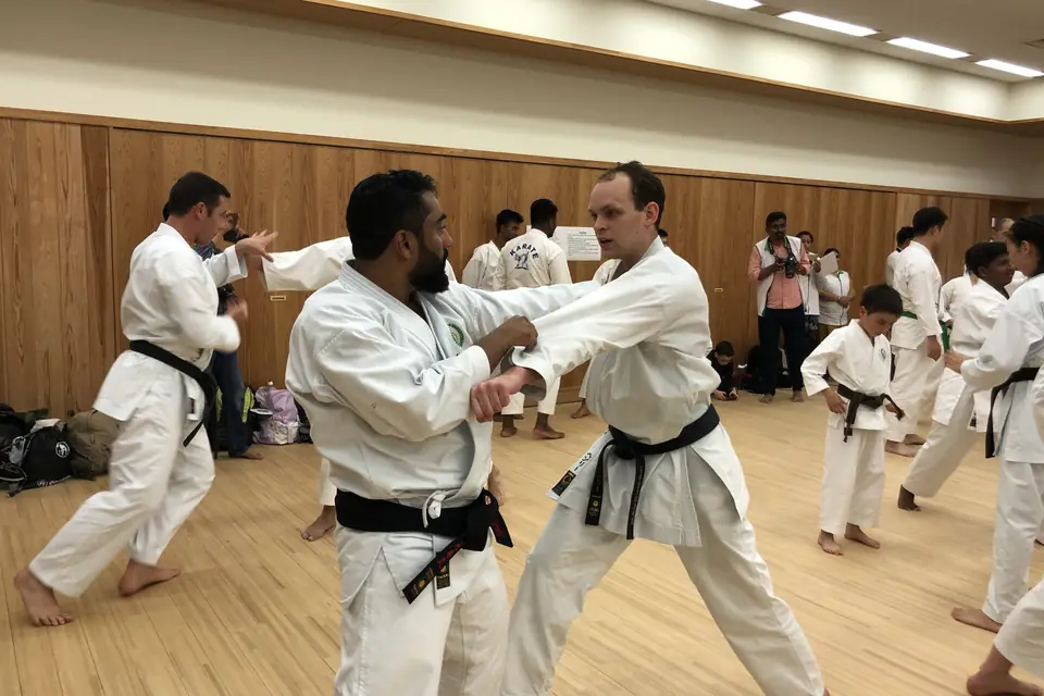 Sensei Najmal in partner training at a seminar in Japan